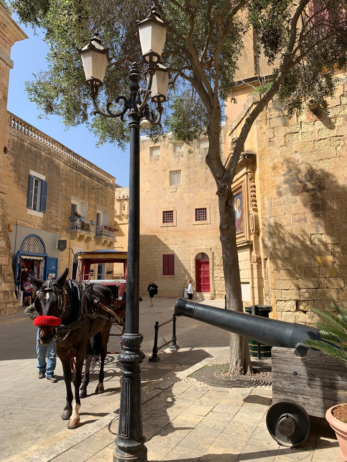 Horse carriage in a quiet Mdina square